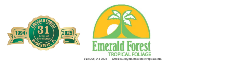 Emerald Forest Tropical's