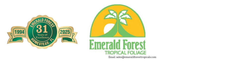 Emerald Forest Tropical's