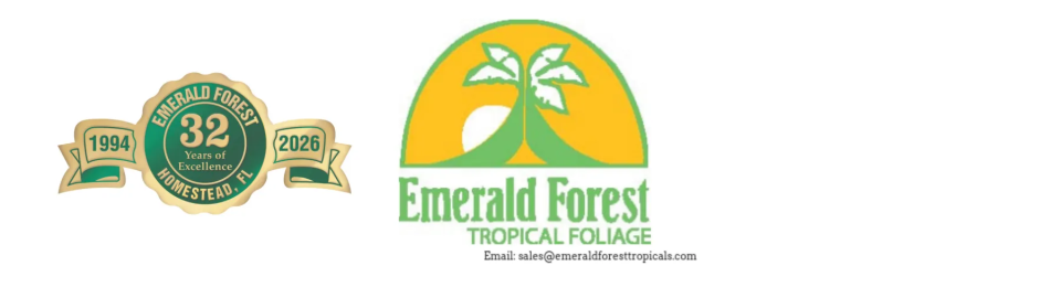 Emerald Forest Tropical's
