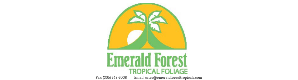 Emerald Forest Tropical's