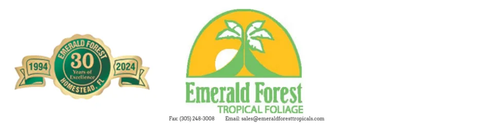 Emerald Forest Tropical's
