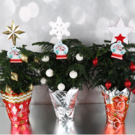 Norfolk Island Pine Decorated 4